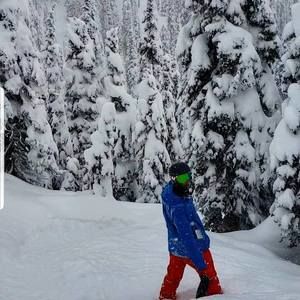 Meet your Posher, Dillon